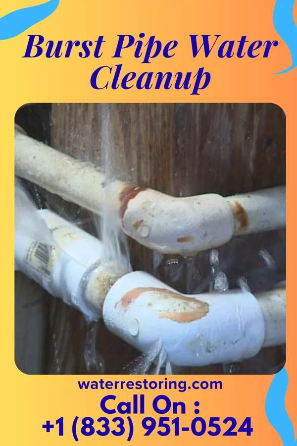 Burst Pipe Water Cleanup in Rimersburg, PA